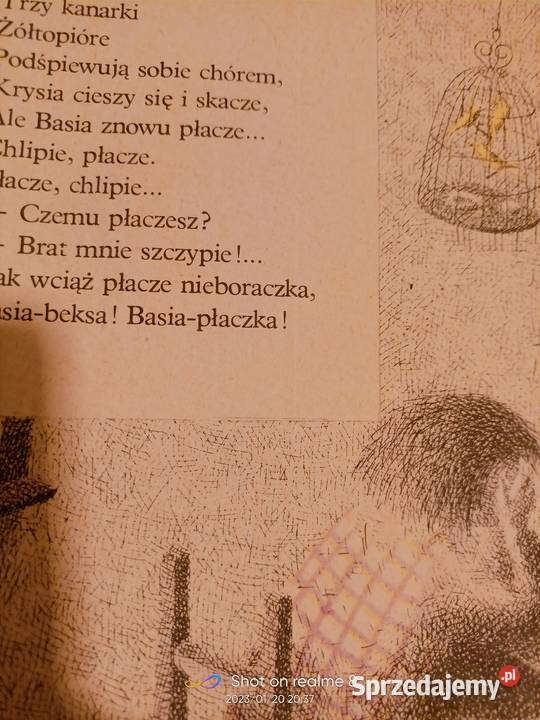 Ananasy z naszej klasy Szpalski książki Warszawa