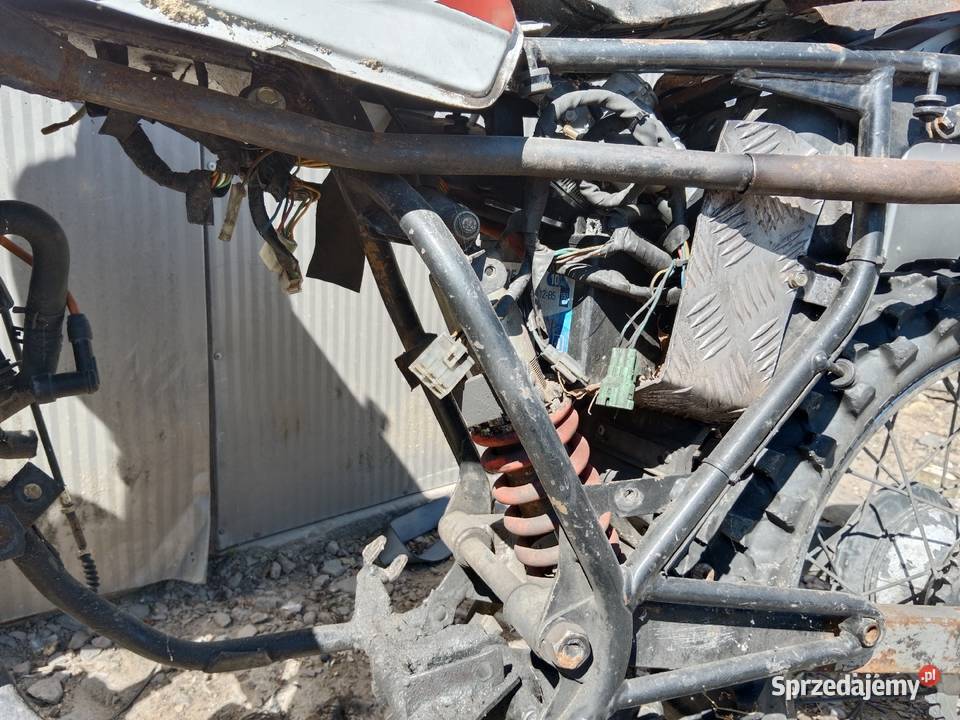 Cross rama rama crossa Lipsko