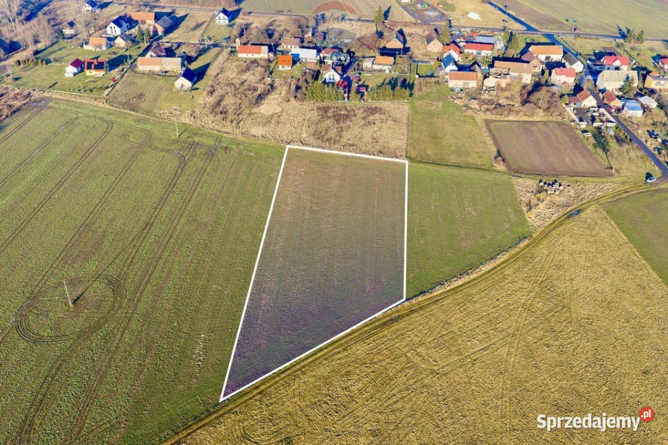 Okazja cenowa Duża działka Chocianowiec dolnośląskie sprzedam