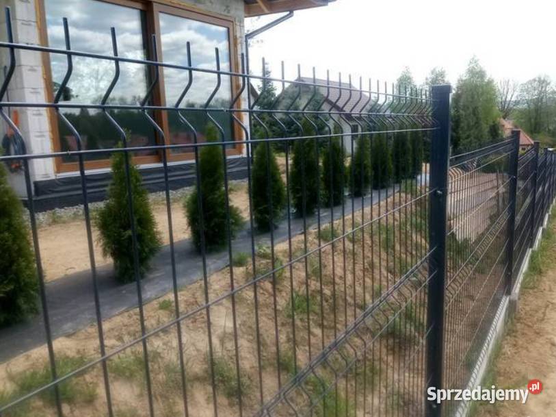 Panel ogrodzeniowy PROMOCJA 123x250 fi4mm