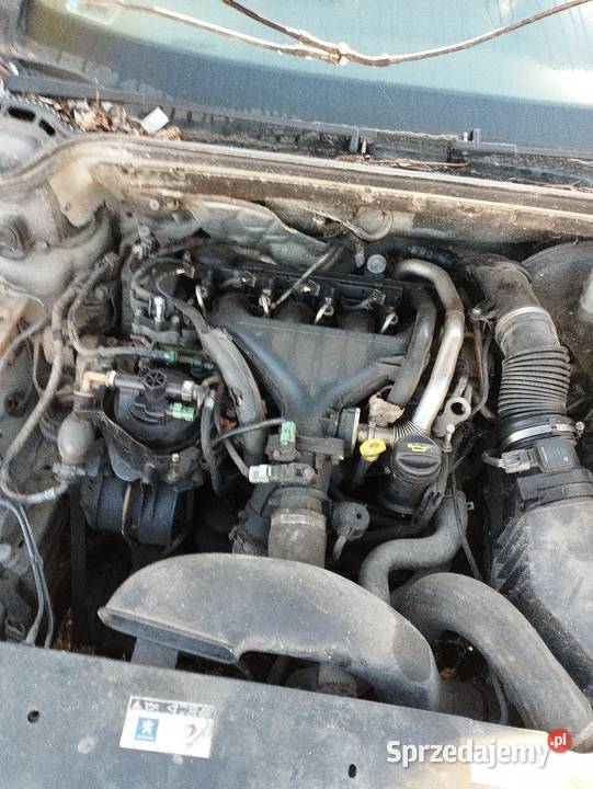 Peugeot 407 407 Morąg sprzedam