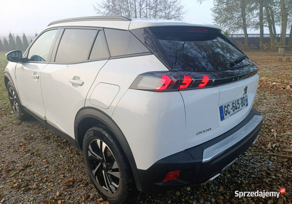 Peugeot 2008 line automat II 2019 kamera cofania