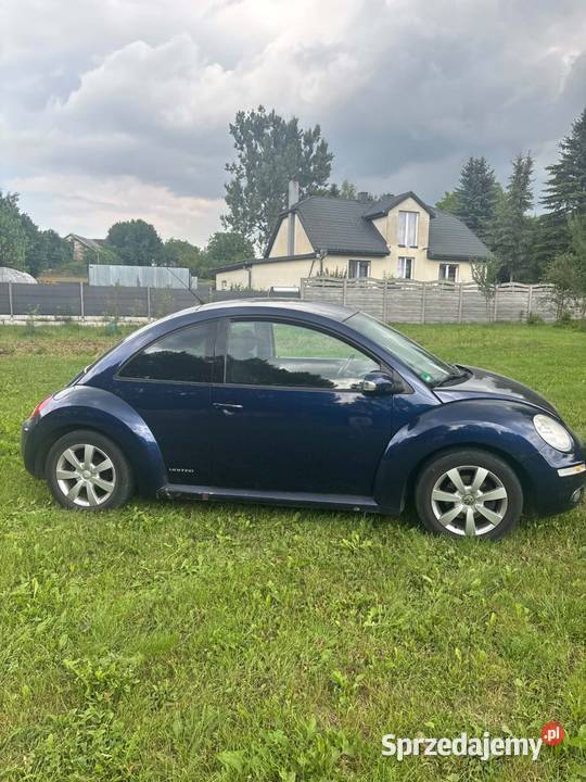 Volkswagen Beetle Piekoszów