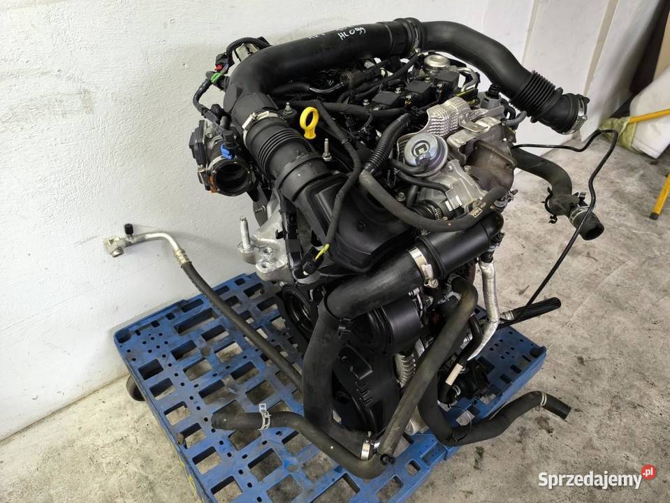 SILNIK KOMPLETNY FORD FIESTA MK7 LIFT 10 SFJC Części samochodowe wielkopolskie sprzedam