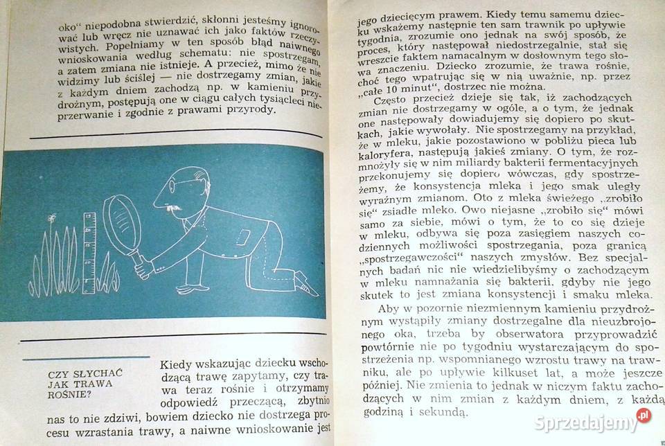 O zwierzętach prozaicznie Piotr Korda miękka Chełm sprzedam