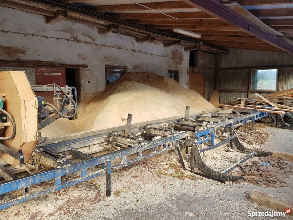 Trak taśmowy Sitnik Rdzawa