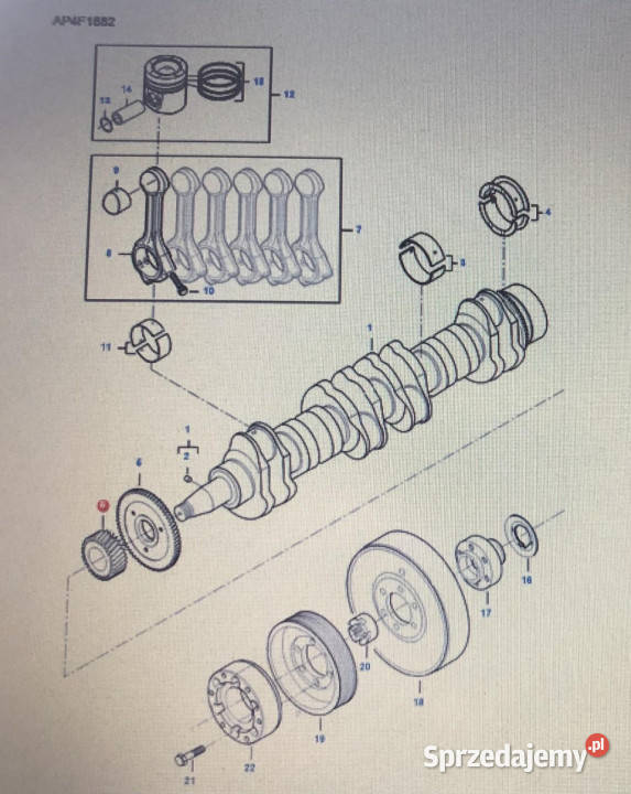FENDT V837079475Fendt koło zębate wału Jastrzębniki