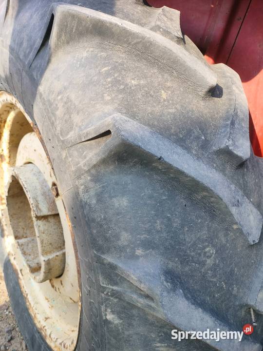 c360 Rolnictwo Chełmża