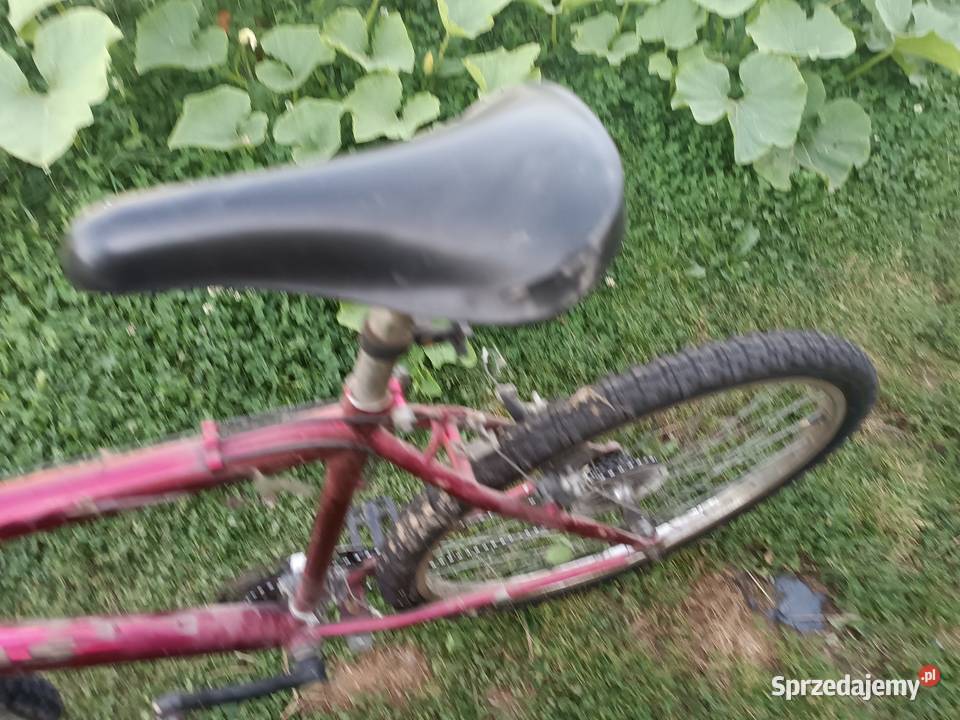 Sprzedam 2 rowery Rowery Tarnów