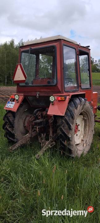 T25 perełka 31 zmiana na 904 Władimirec lubuskie Czerwieńsk