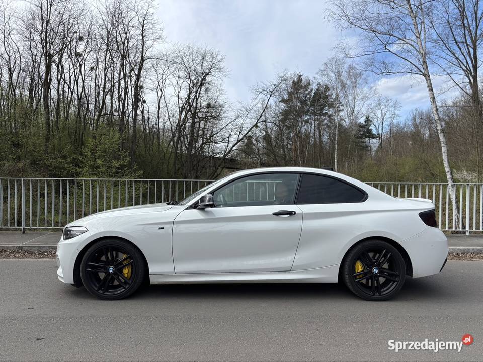 BMW 230i mpakiet coup 250KM Rybnik