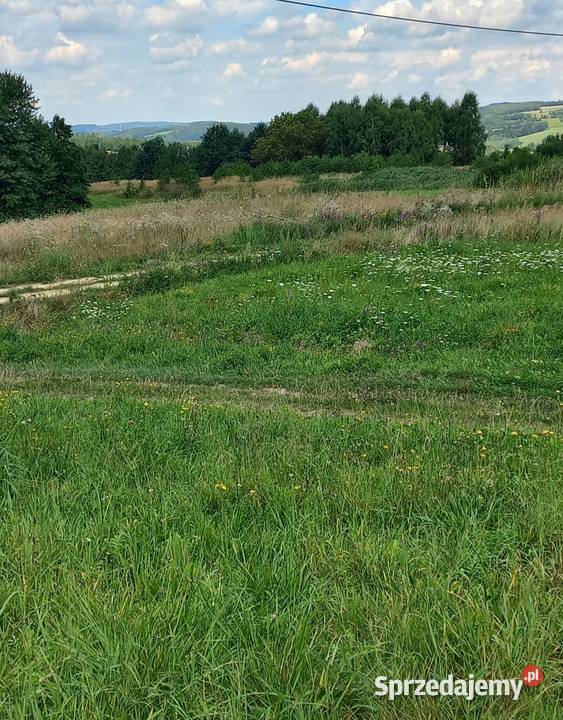 Przepiekna działka widokowa w górach bieszczady Krasna