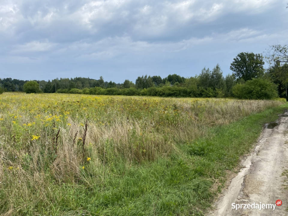Działka inwestycyjna pod usługi 18 centrum 14854m2 Kazimierz Dolny