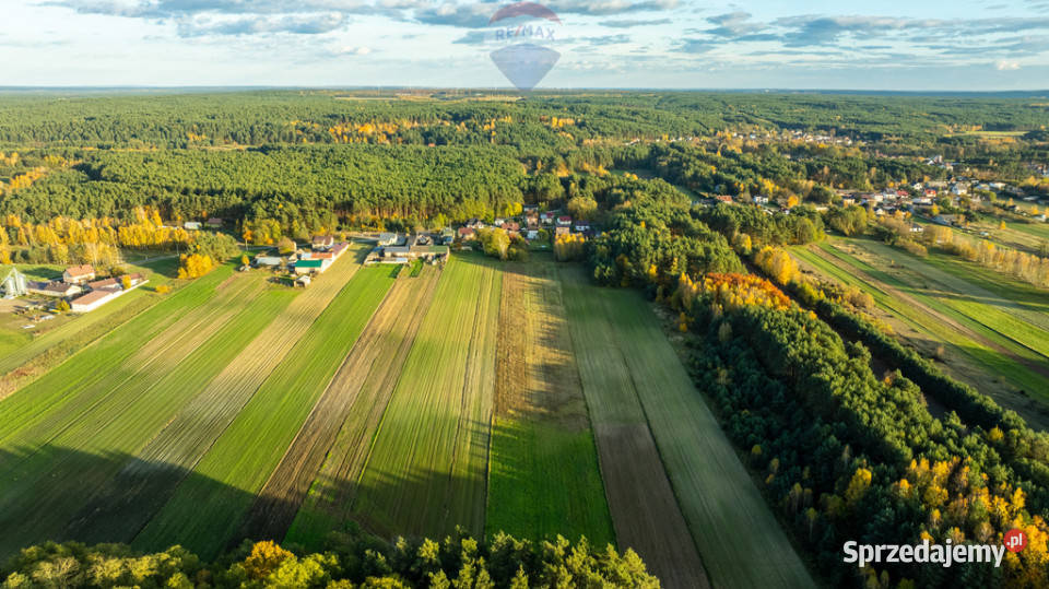 Dom z potencjałem w Toporowie z dużą działką 112m2 Toporów