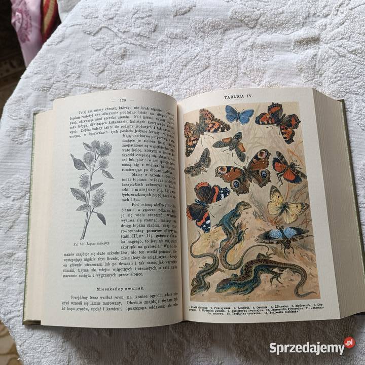 Bohdan Dyakowski Z naszej przyrody Katowice