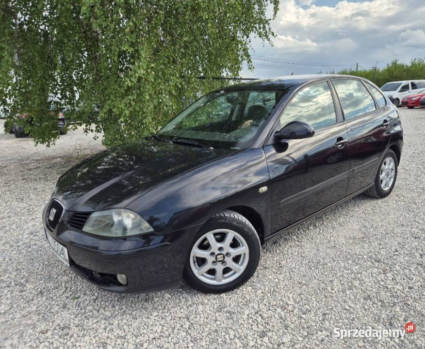 Seat Ibiza Rok produkcji 2004 Starachowice
