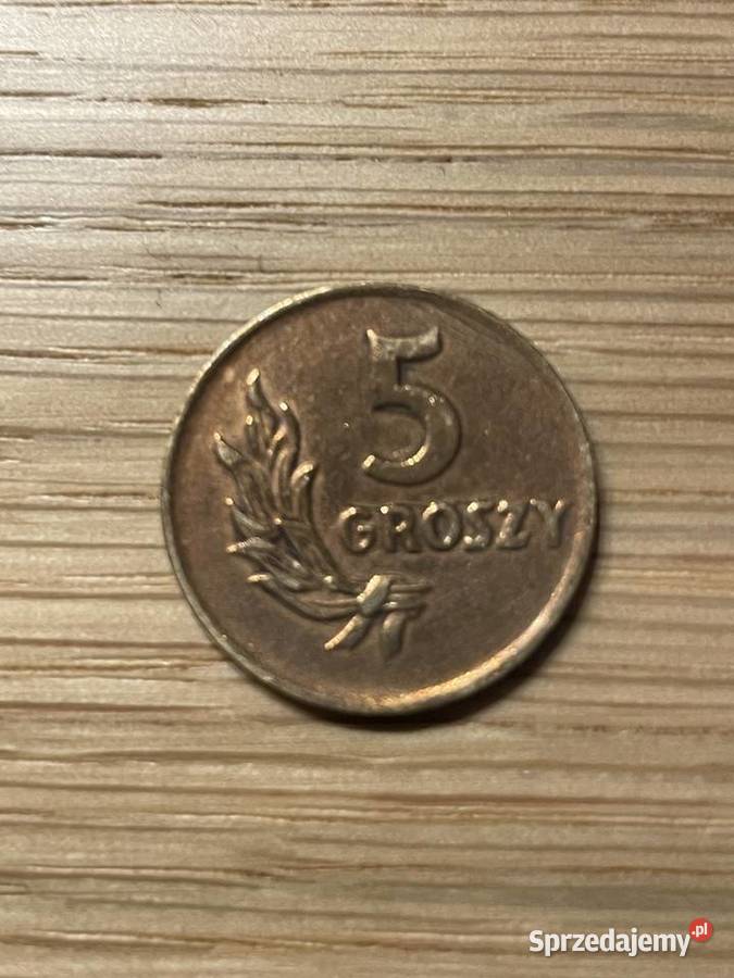 5 gr 1949 Puławy