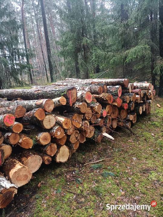 Drewno opałowo Opał wielkopolskie Piła