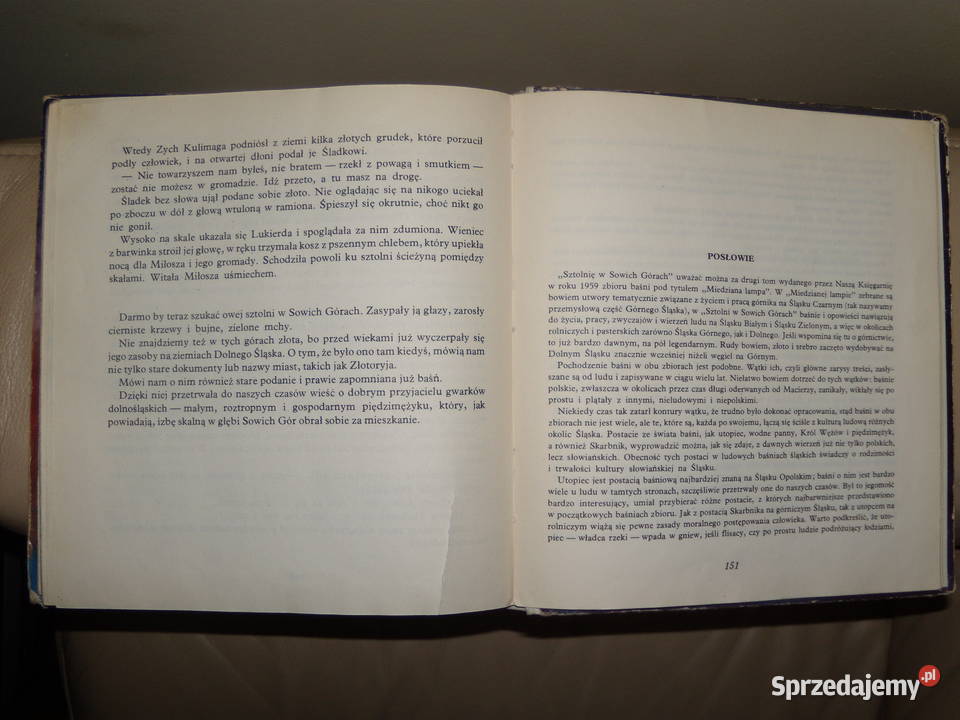 Sztolnia w Sowich Górach Kornelia Dobkiewiczowa Warszawa sprzedam