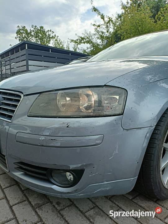 Audi A3 8P wielkopolskie Września