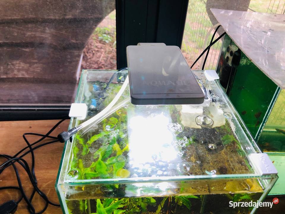 Akwarium Aquael krewetkarium kostka łódzkie