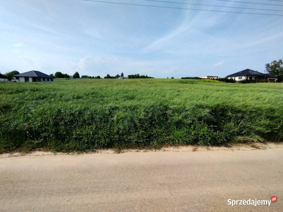 sprzedaży działki Panieńszczyzna 1836m2 1836m2 lubelskie