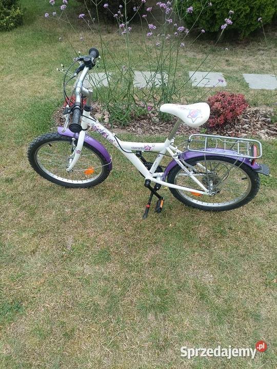 Rower gorski Sport