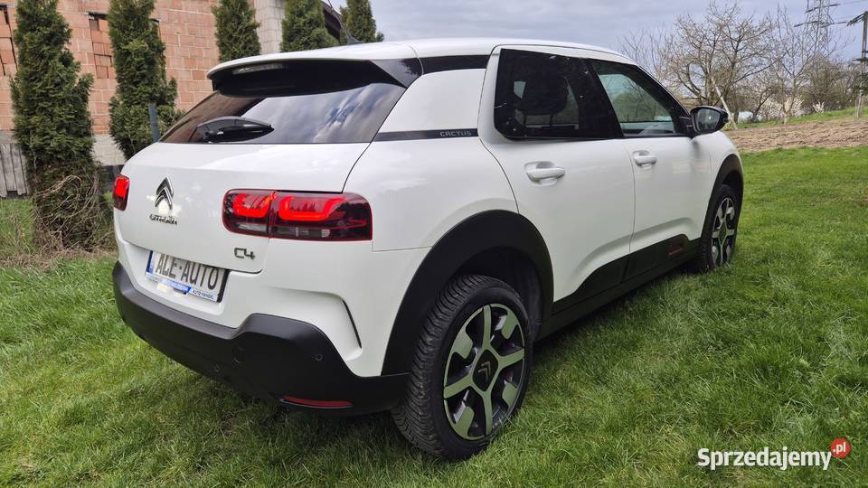 C4 CACTUS 12 110 OPŁACONY nawigacja Rzeszów