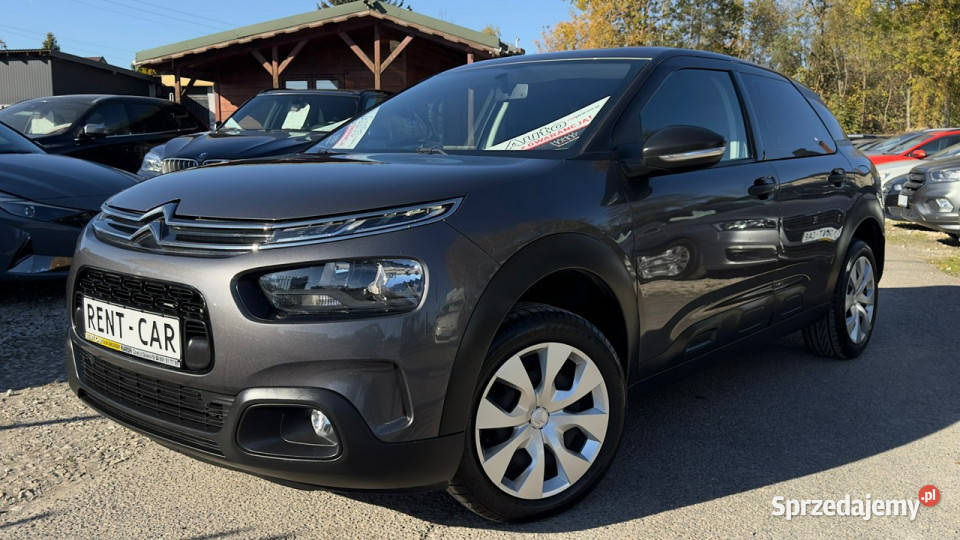 Citroen C4 Cactus 12iOPŁACONY Bezwypadkowy Hatchback C4 Cactus Częstochowa