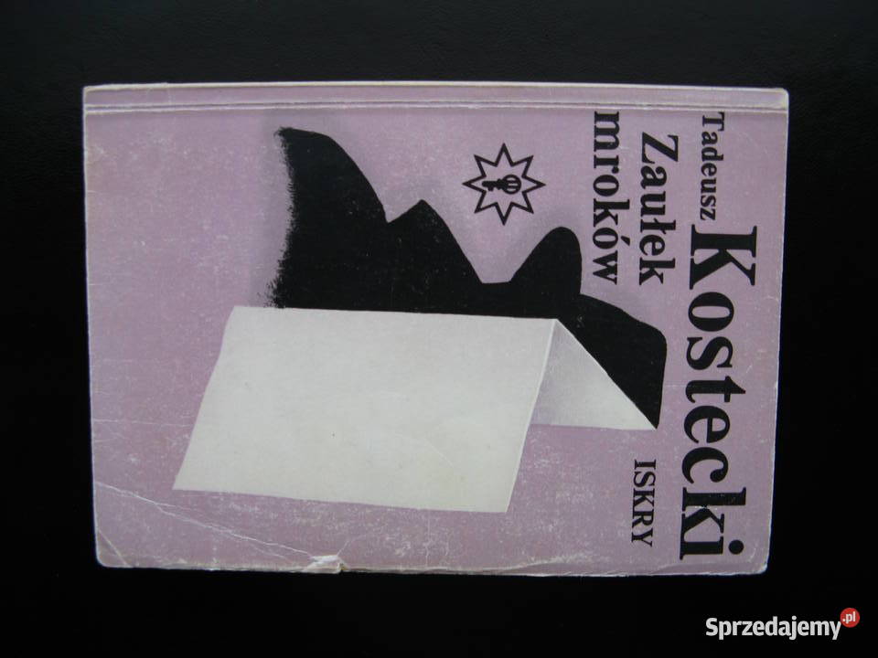 Tadeusz Kostecki Zaułek mroków Poznań