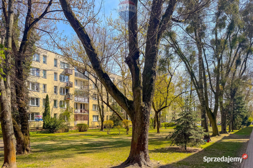 Zwierzolubna kawalerka do wynajęcia piwnica Mieszkania mazowieckie Warszawa