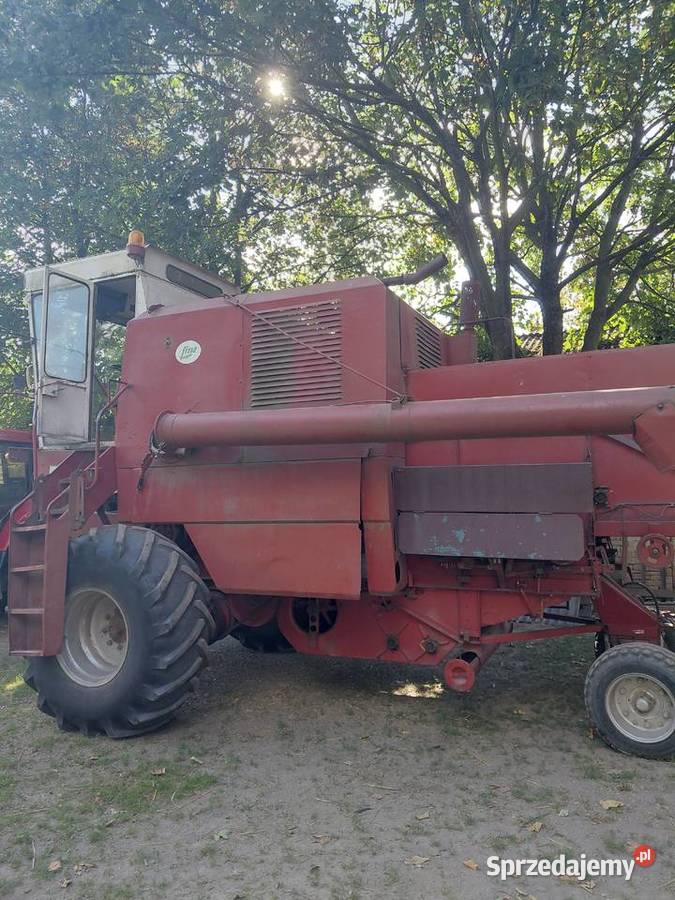 Bizon Zo56 lubelskie Piaski