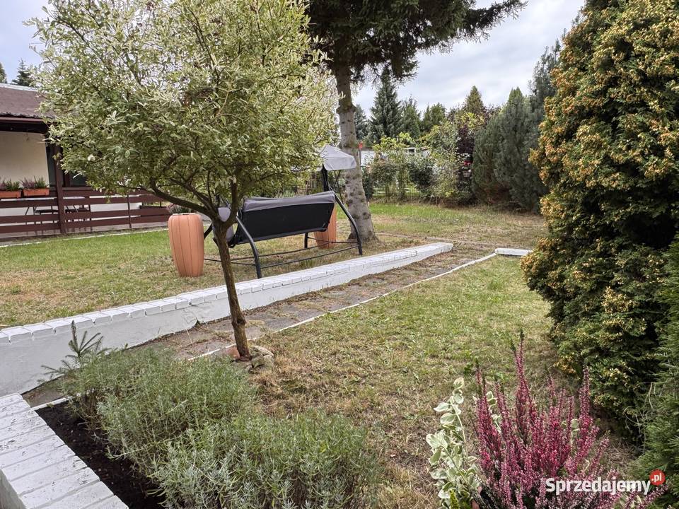 Ogródek Działkowy ROD Ślązaczka Mysłowice 300m2