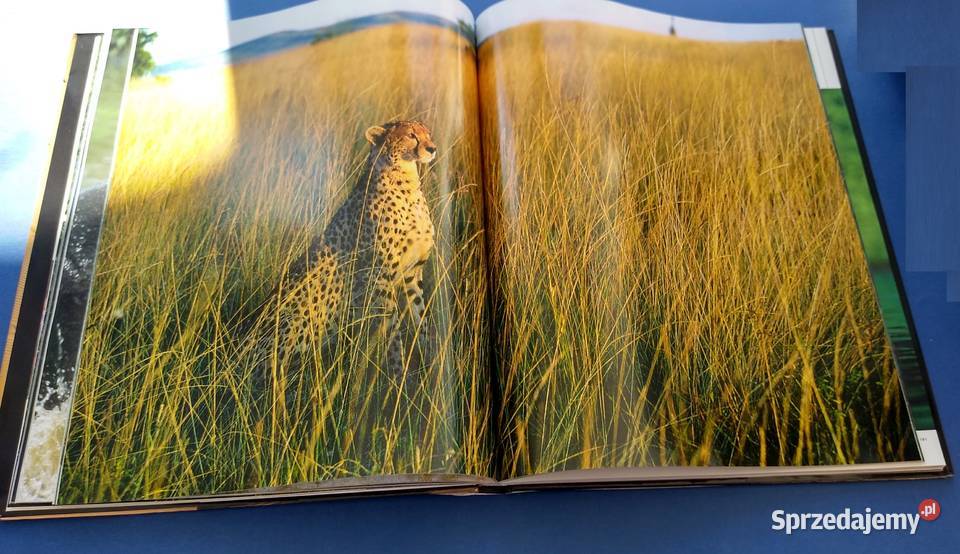 Afryka cuda przyrody Giovanni Giuseppe Bellani Gdańsk