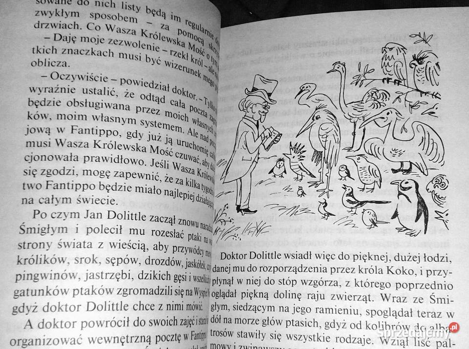 Poczta Doktora Dolittle Hugh Lofting Chełm