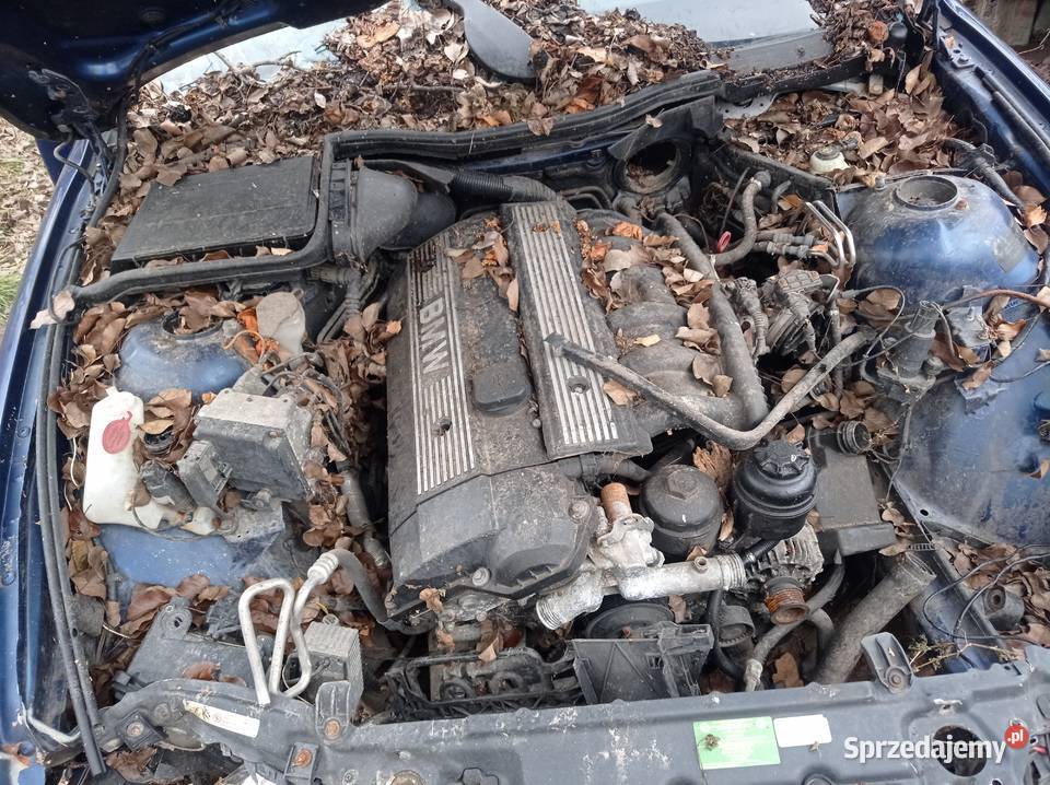 BMW E39 na części 170KM Seria 5 mazowieckie Wola Zagrodnia