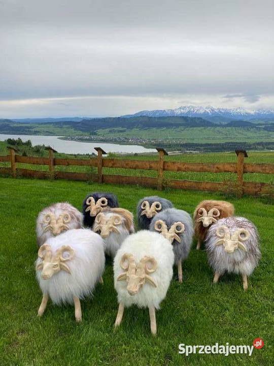 Skóra Owcza Naturalna Skóry Owcze Baran