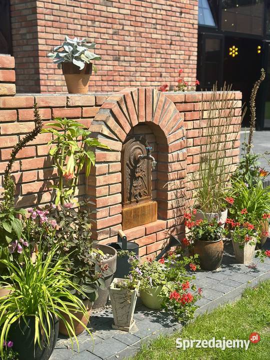 Cegła ręcznie formowana ceramiczna BRUGIA prosto Cegły klinkierowe Kraśnik
