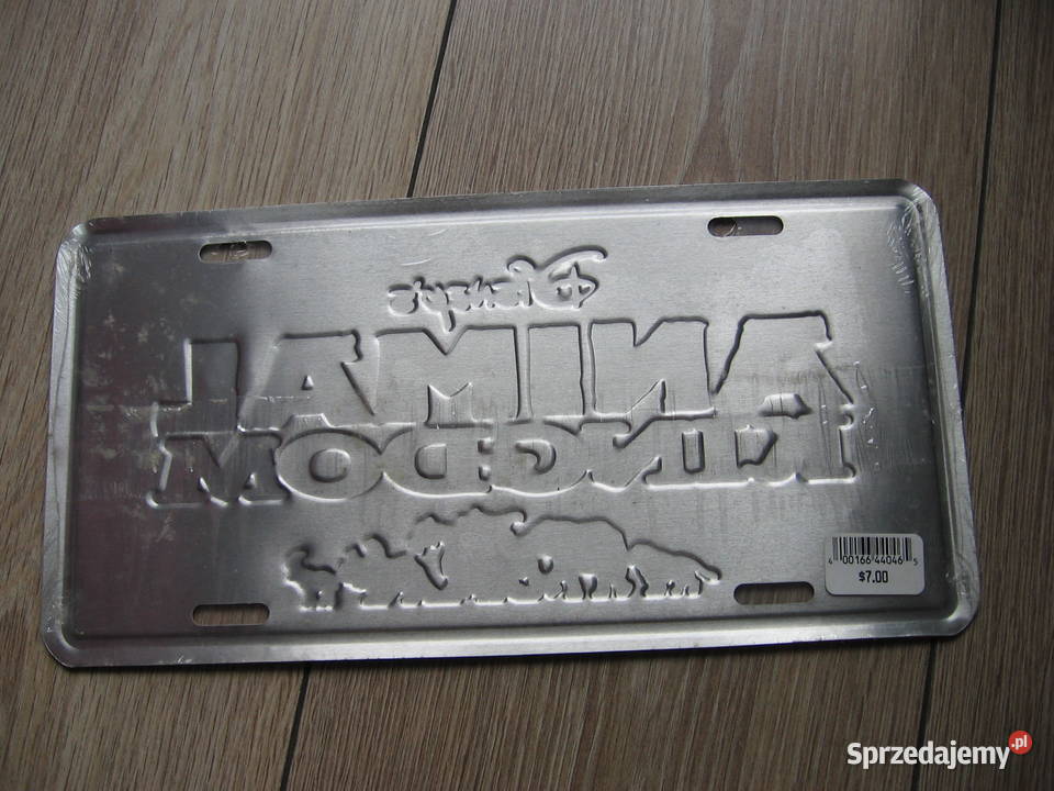 Tablica rejestracyjna Disney Animal Kingdom Lew Gadgety motoryzacyjne Przemyśl