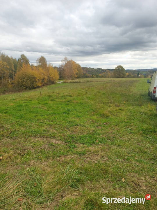 Działka budowlana 36 ar Tuchów Okazyjna małopolskie