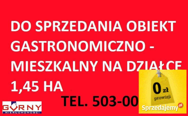 sprzedaży lokalu Wola Krzysztoporska 351m2 sprzedam