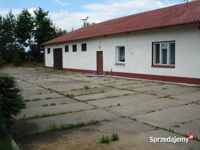 Fermę Drobiu Grunty i działki Występ