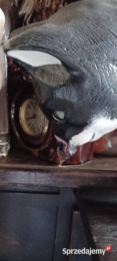 KOT 60 DLUGI twarda żywica poli twardy cięzki Poznań