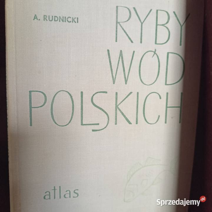 Ryby wód polskich książek wysyłka wyprzedaż Gdańsk