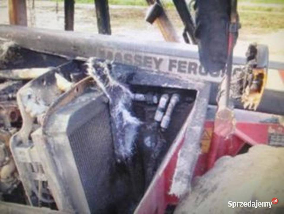 Massey Ferguson MF 8926 2010rCzęści Wilkowo