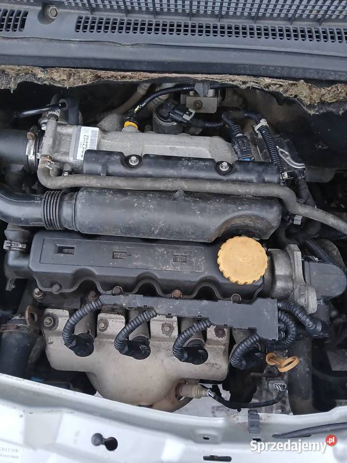 Opel meriva kujawsko-pomorskie Świedziebnia