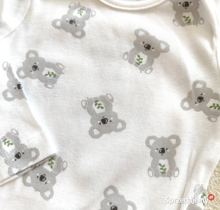Body niemowlęce 62 Sinsay bawełniane koala misie zachodniopomorskie Szczecin