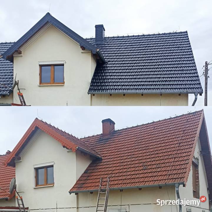 Malowanie dachów mycie dachów elewacji kostki Pozostałe opolskie