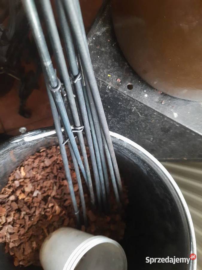 35 l podłoża storczyków 11 patyczków Morąg