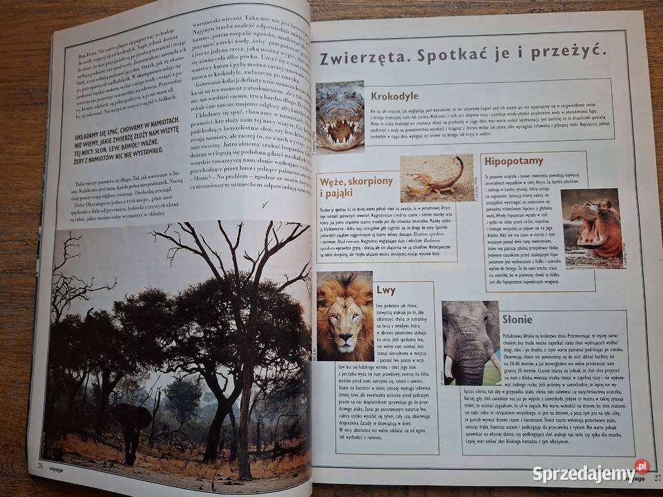 Voyage 38 marzec 1999 małopolskie Kraków